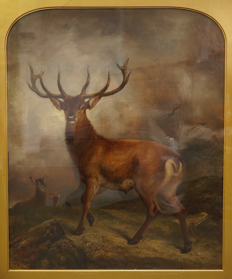 Aster R. C. Courbould, (c.1812-c.1882), A Stag in a Highland landscape